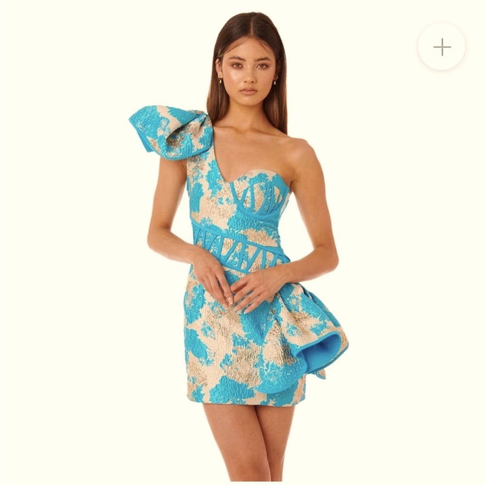 Brand New Eliya the label Lily dress (without tags)